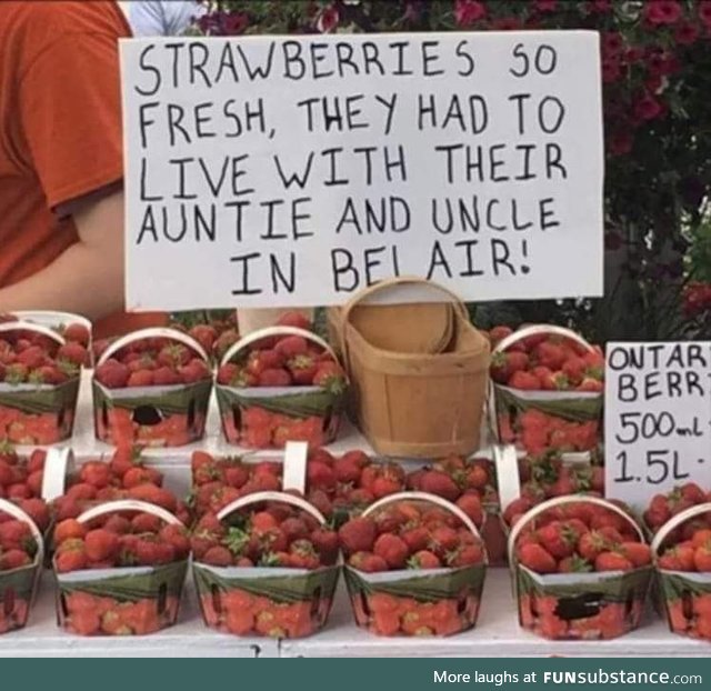 Strawberries Fresh out of Bel-Air