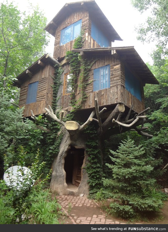 3 story tree house in the woods