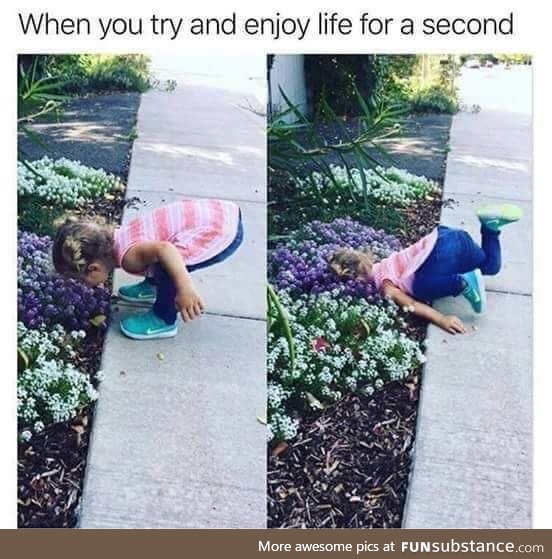 "Stop and smell the flowers," they said. "Try and enjoy life for a second," they said.