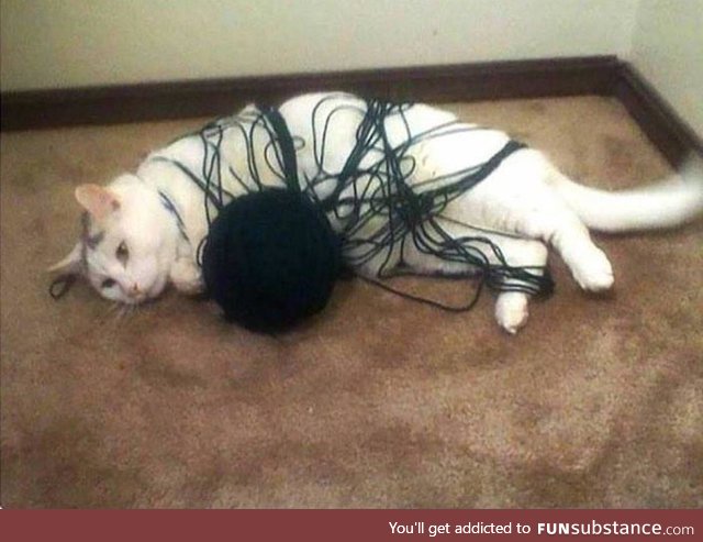defeated.. the yarn was stronger.. :D