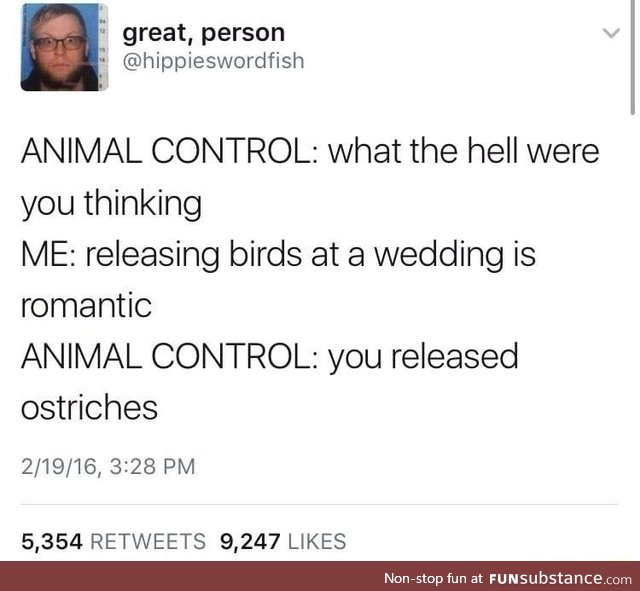 Releasing birds