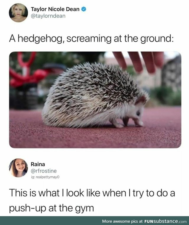 Same