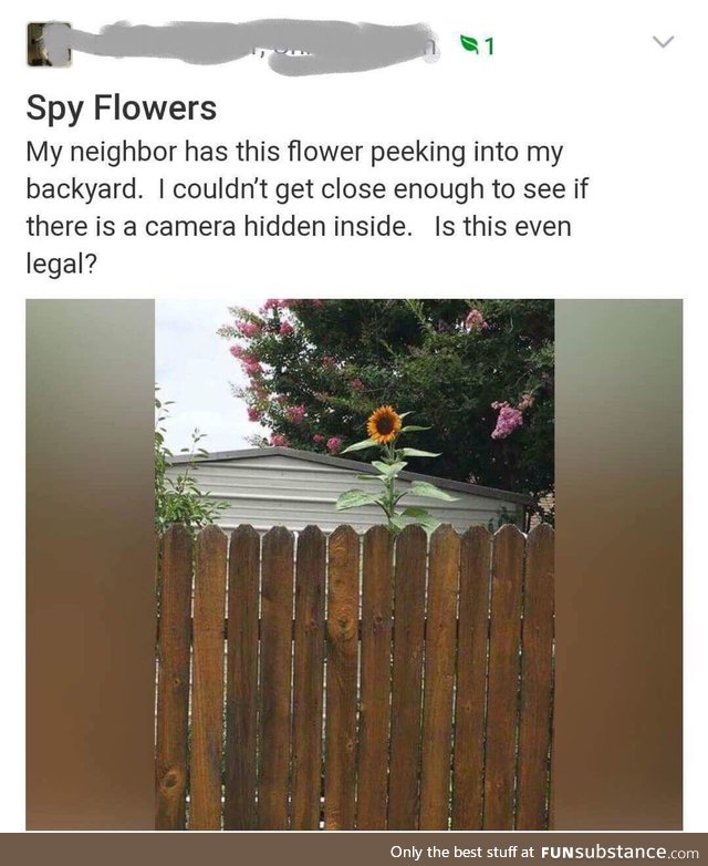 Smh... I hate it when my neighbors plant SpyFlowers :/