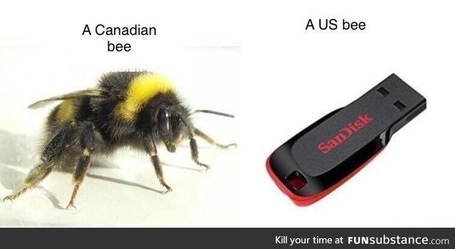 Canadian bee vs US bee