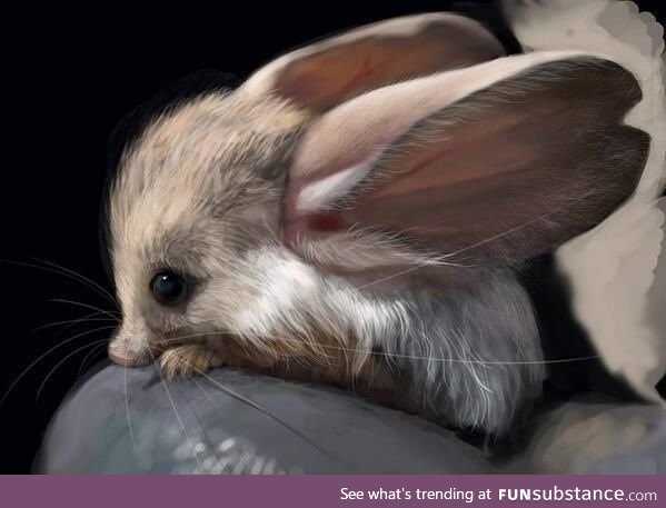 Long-Eared Jerboa (He can semaphore his neighbour with a minimum of labour)