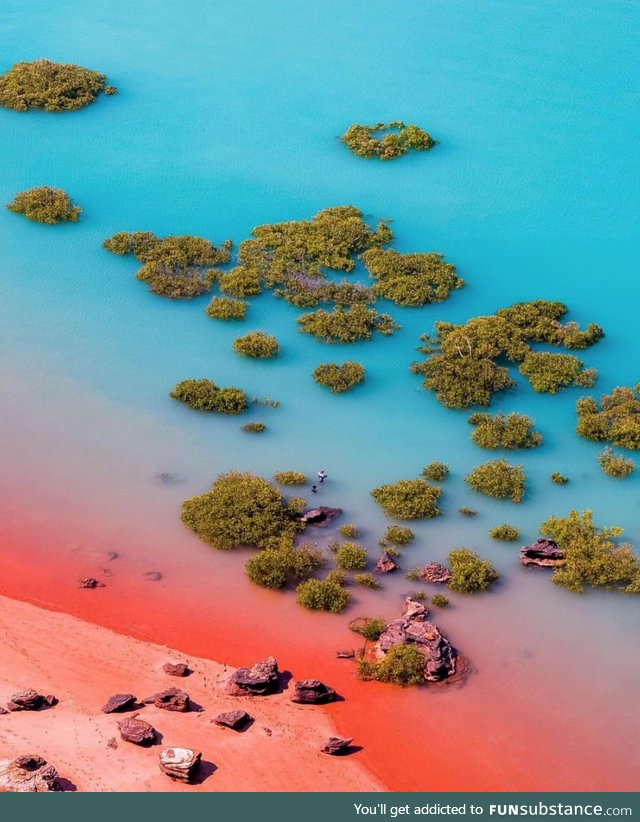 Shoreline in Broome, Western Australia