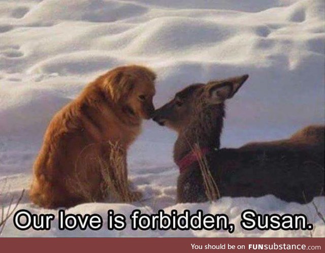 Forbidden love