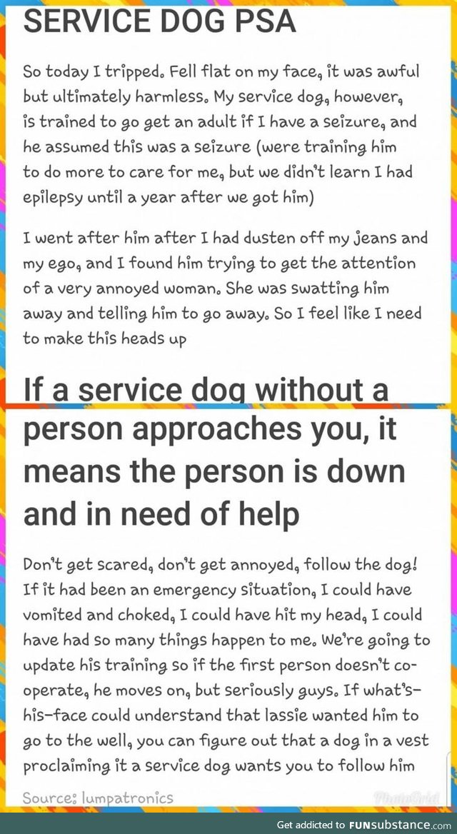 PSA: How to deal with a service dog