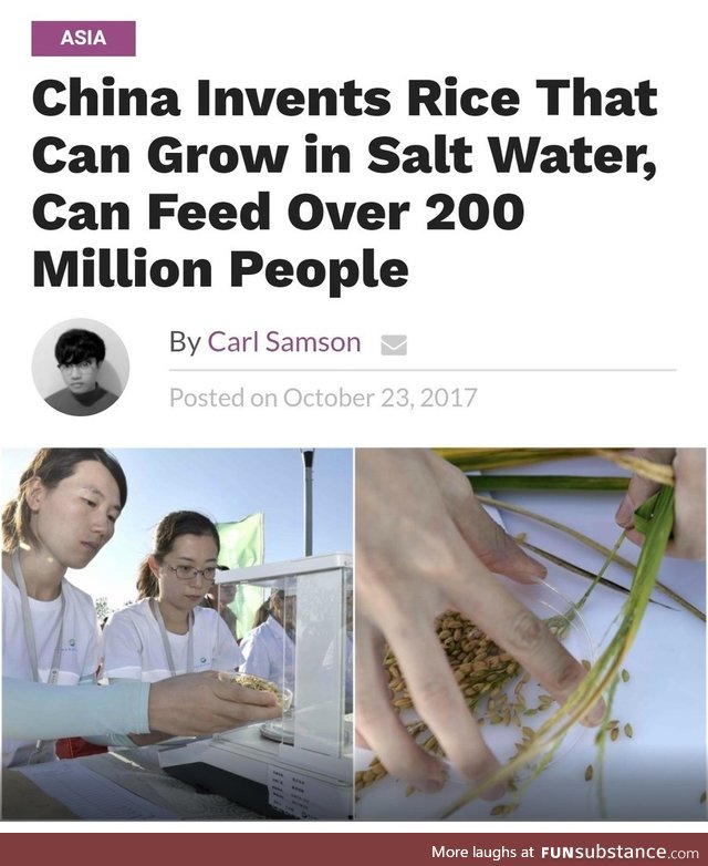 More rice!