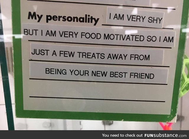 My personality