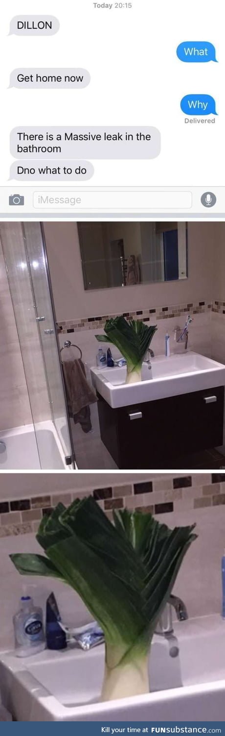 There is a massive leek in the bathroom! (Emergency level: Dad)