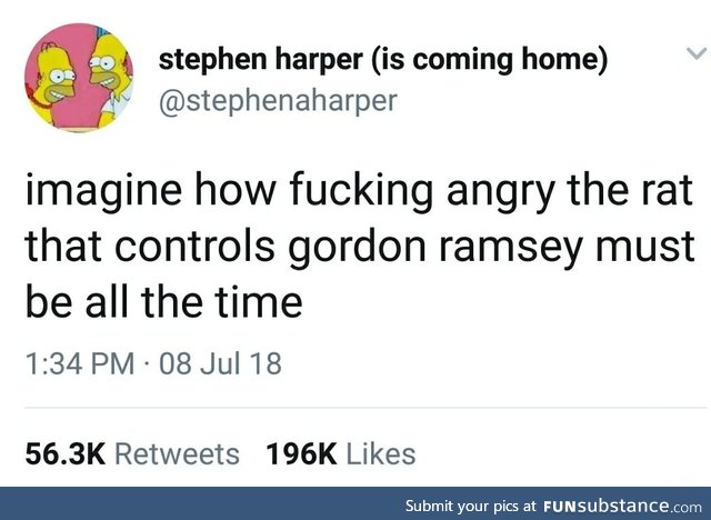 That's one angry rat