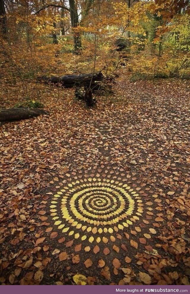 Organizing leaves into elaborate patterns (by James Brunt)