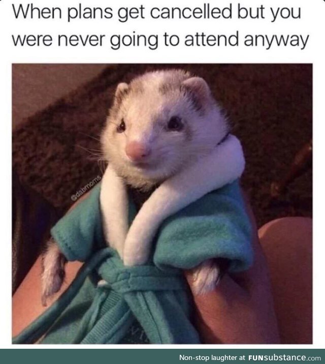 Guess I'll chill ¯\_(ツ)_/¯