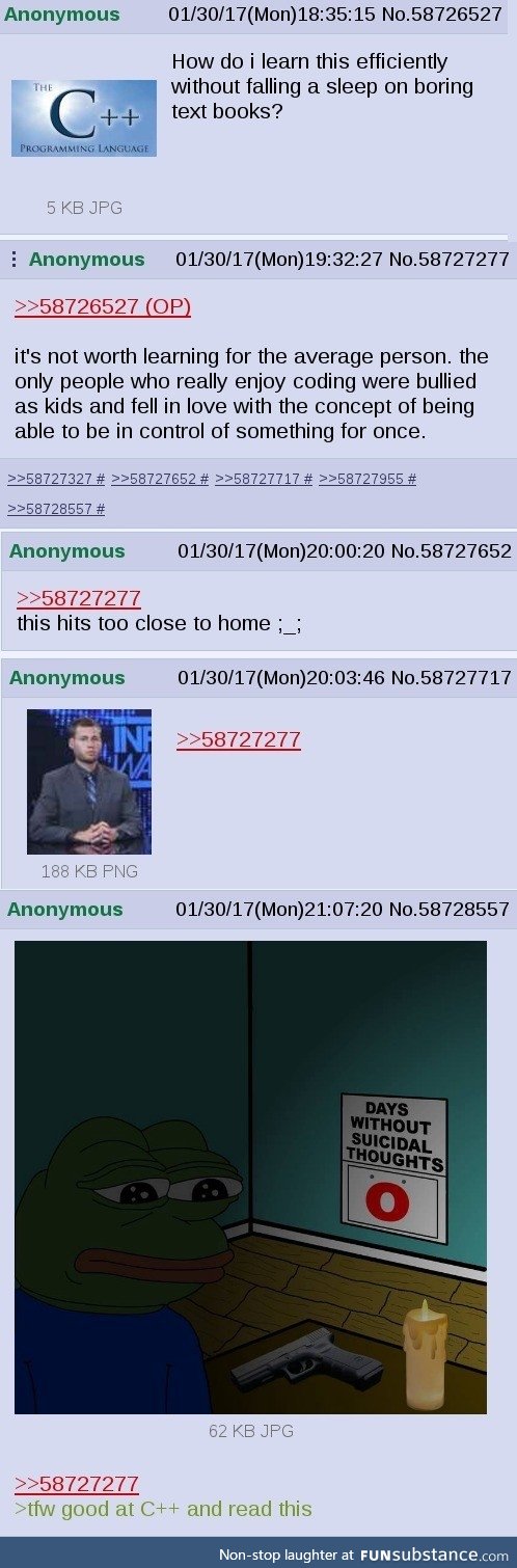 Why anon learned to code