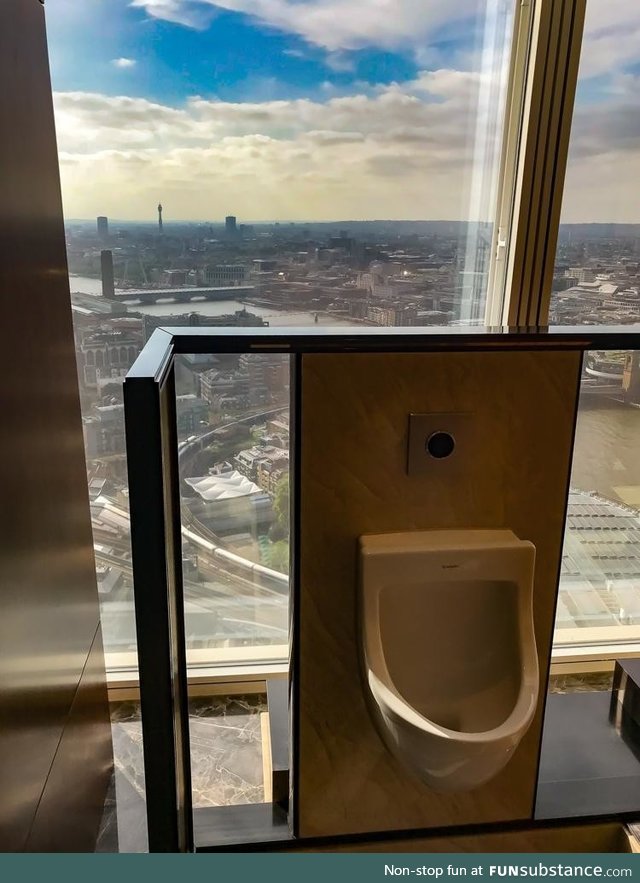 Awesome view from a men's urinal
