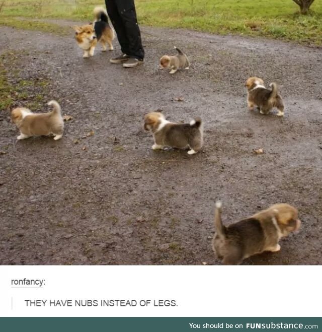 So smol