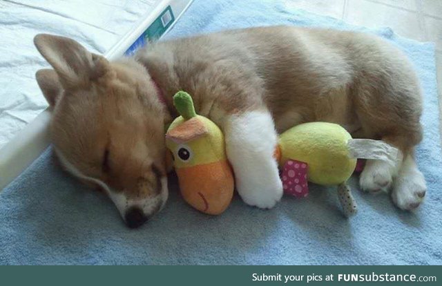 awwww