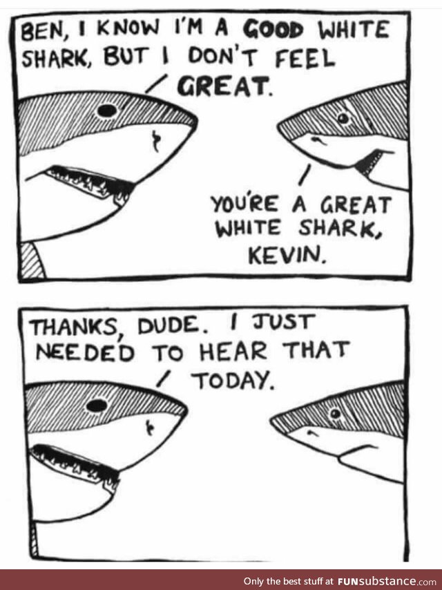 You're a Great White Shark