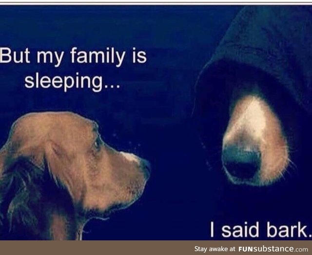 So this is why my dog barks at night!