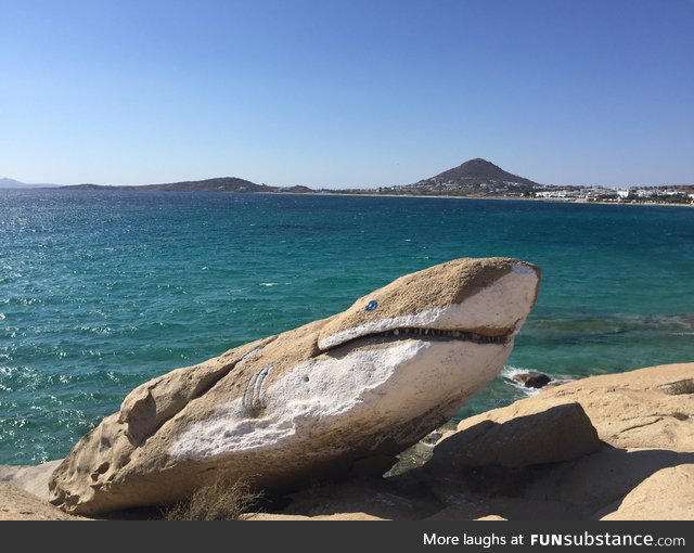 Shark sighting in Naxos, Greece