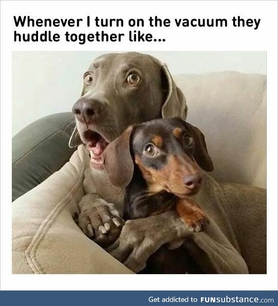 Vacuum is here