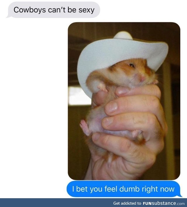 Sexy cowboy
