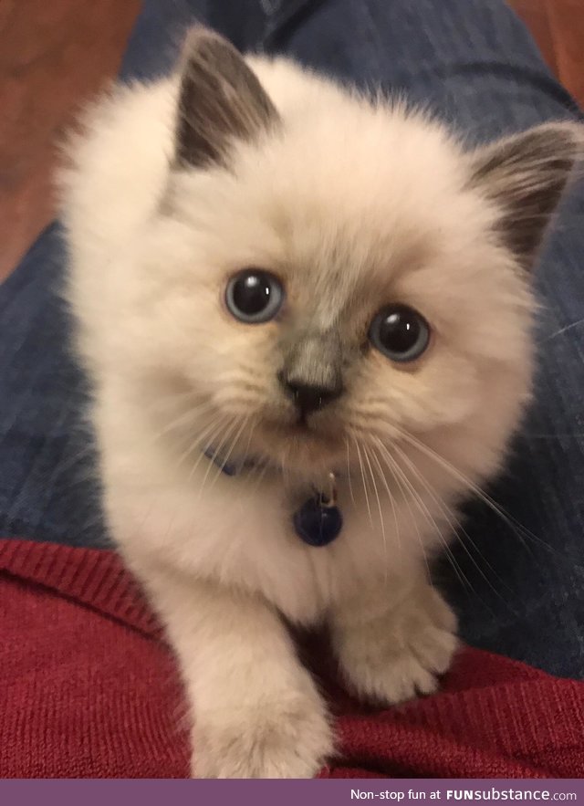 :3..