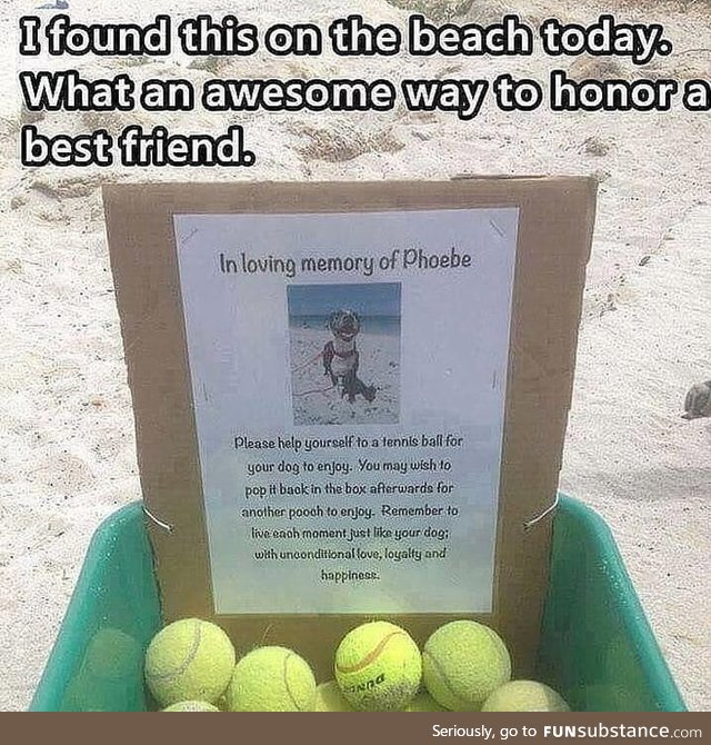 Guy came across a box full of tennis balls dedicated in memory of a good doggo
