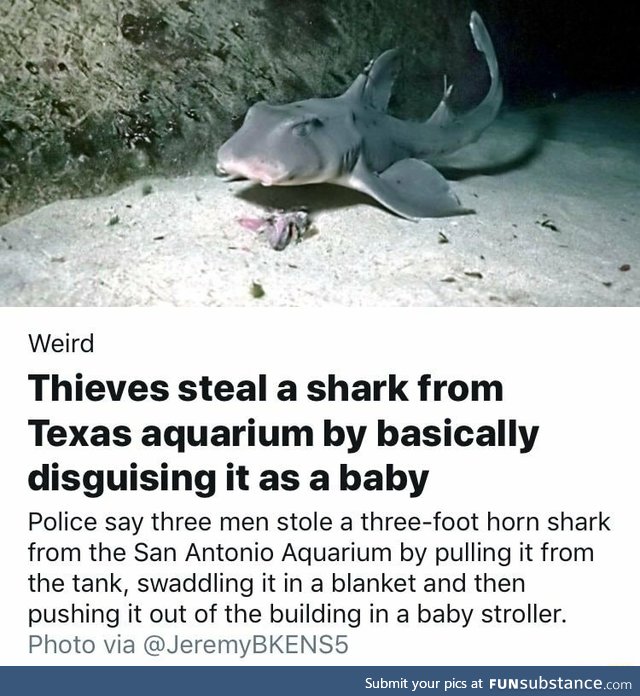 Good baby shark