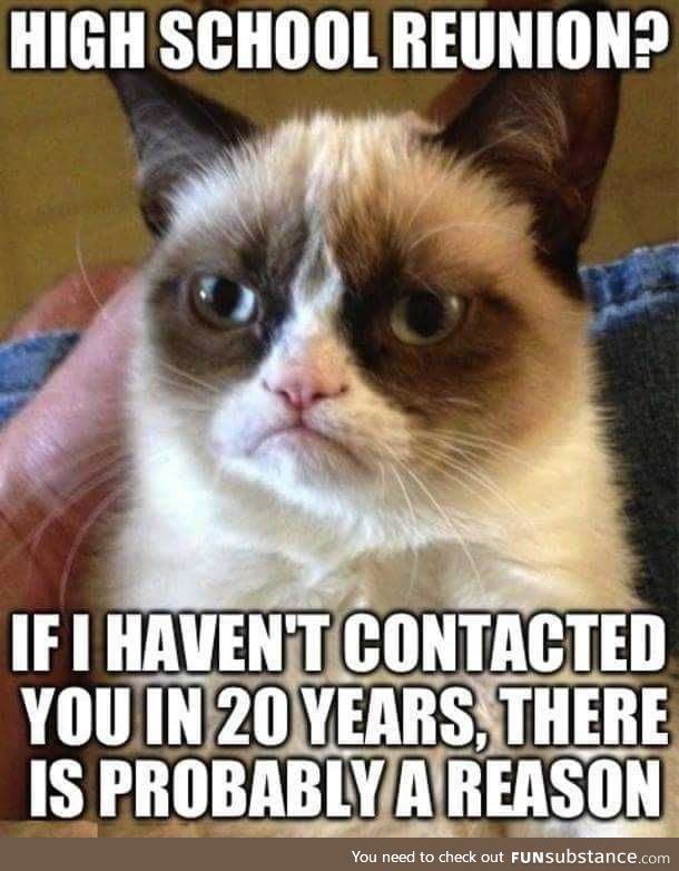 Who else likes/can agree with grumpy cat