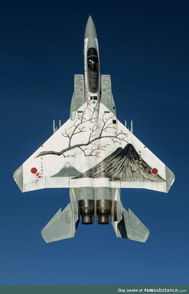 Japan Air Self-Defense Force fighter jet