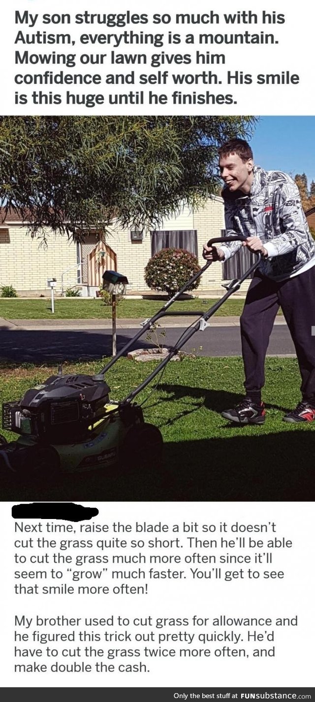 Commenter  giving wholesome lawn care advice