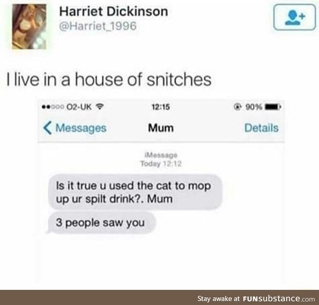 House of snitches