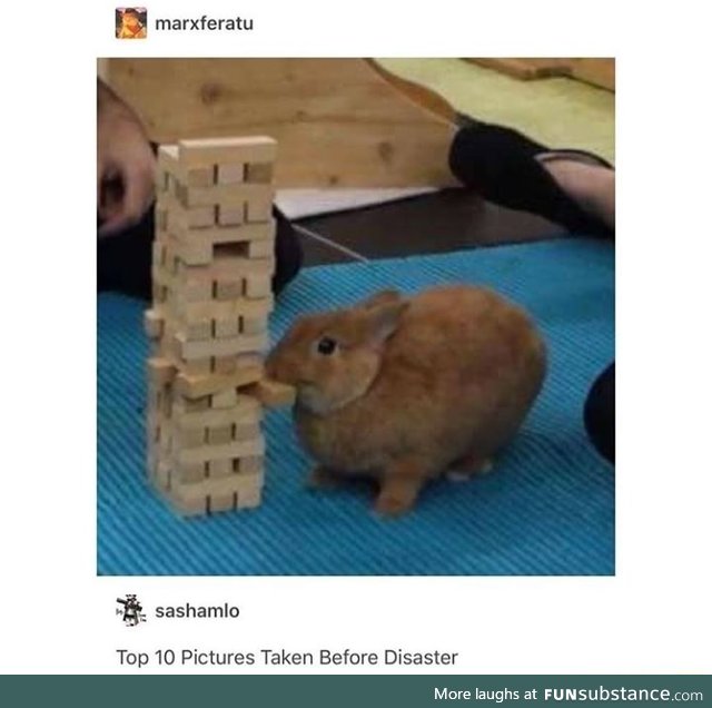 Poor bunny