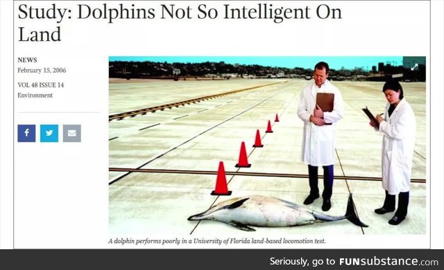 Poor dolphin