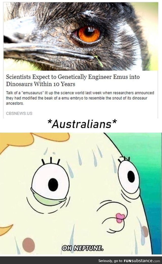 Preparations for the Second Great Emu War(2018, Colourized)