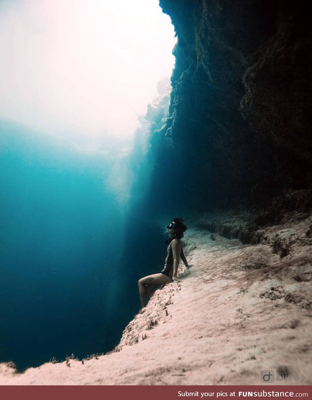 Sitting on an undersea ledge in the Bahamas