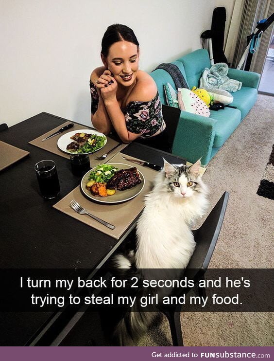 Cat burglar has a new meaning