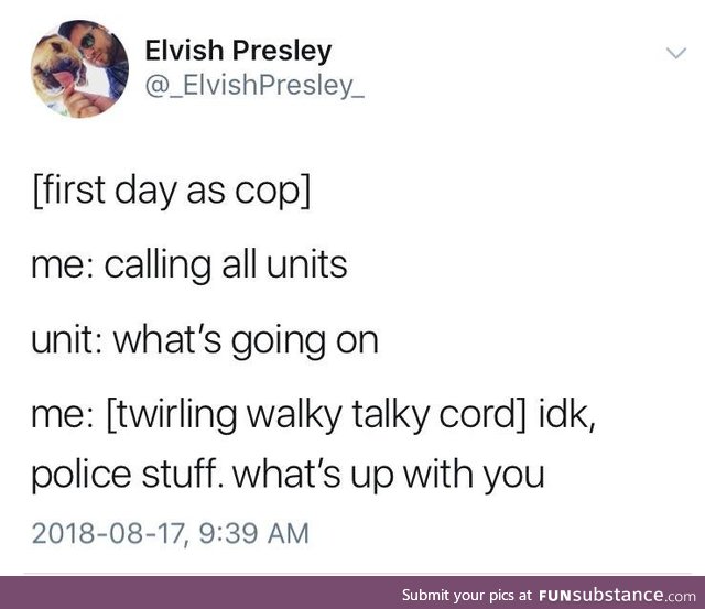 Fun cop