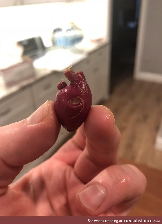Little red potato looks like a heart