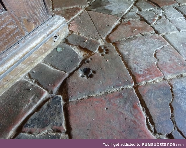 Kitty-prints in medieval floor tiles. Wormleighton St Mary