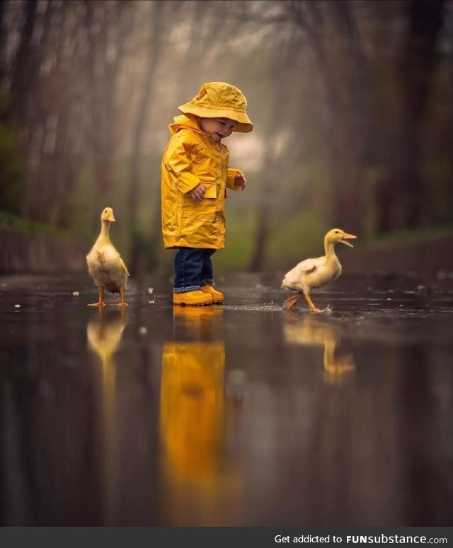 Just a couple of ducks out in the rain