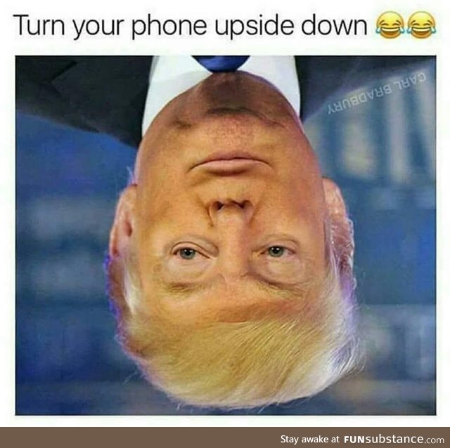 Brain is useless reading upside down faces