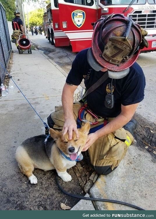 Houston firefighter greets pupper saved from fire