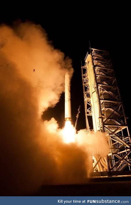 A frog who thought a rocket launch pad could be a home