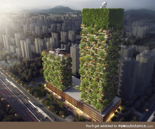 Asia's First Vertical Forest Is In China Which Will Produce 60 Kg Oxygen daily