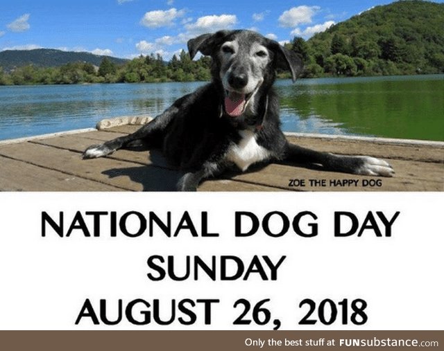 Happy national dog day