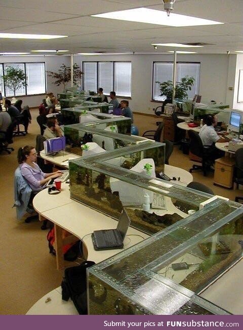 Old school office with an aquarium