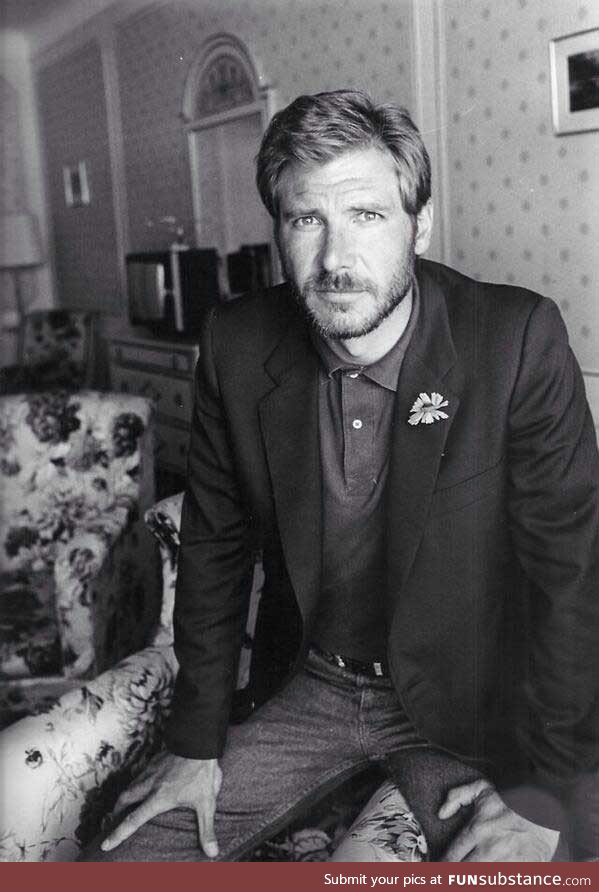 A young Harrison Ford